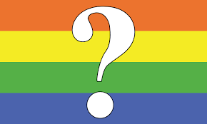 Questioning Flag